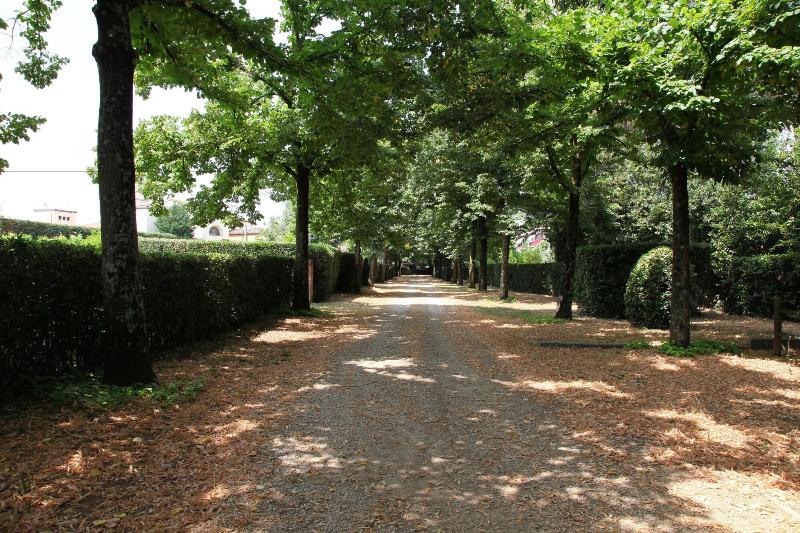B&B Rovezzano - Genel
