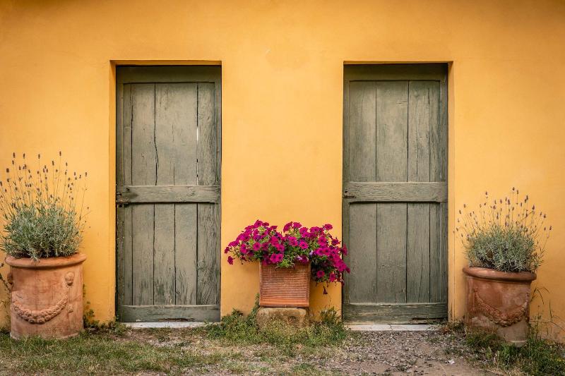 Casa Volpi - Genel