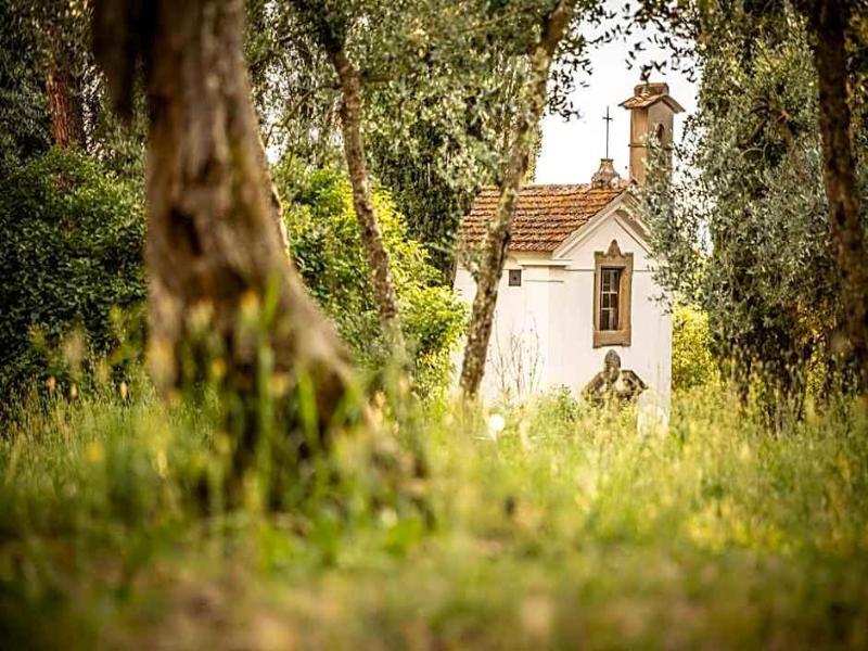 Casa Volpi - Genel
