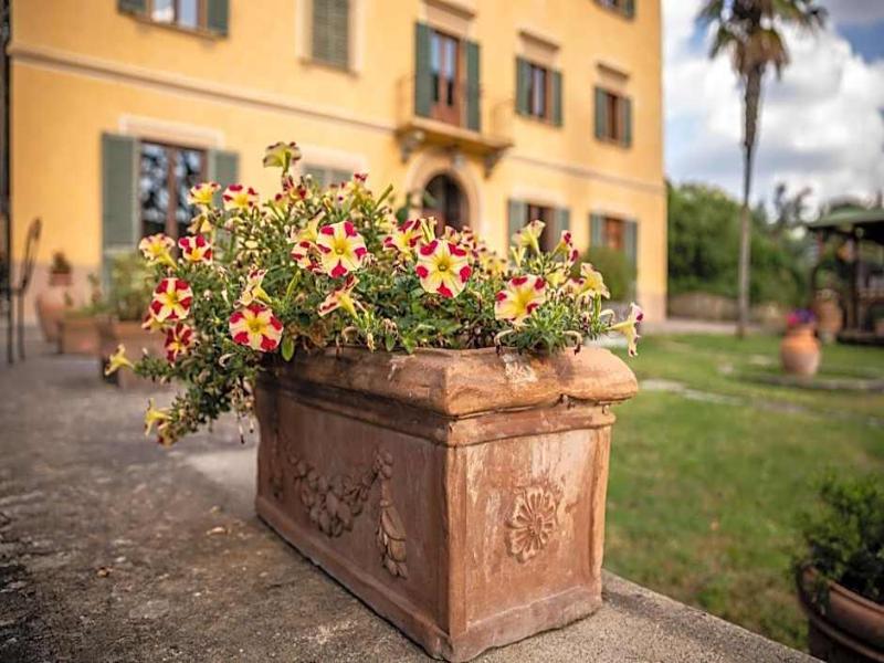 Casa Volpi - Genel