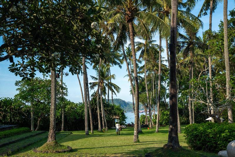 Alila Manggis - Aktivite