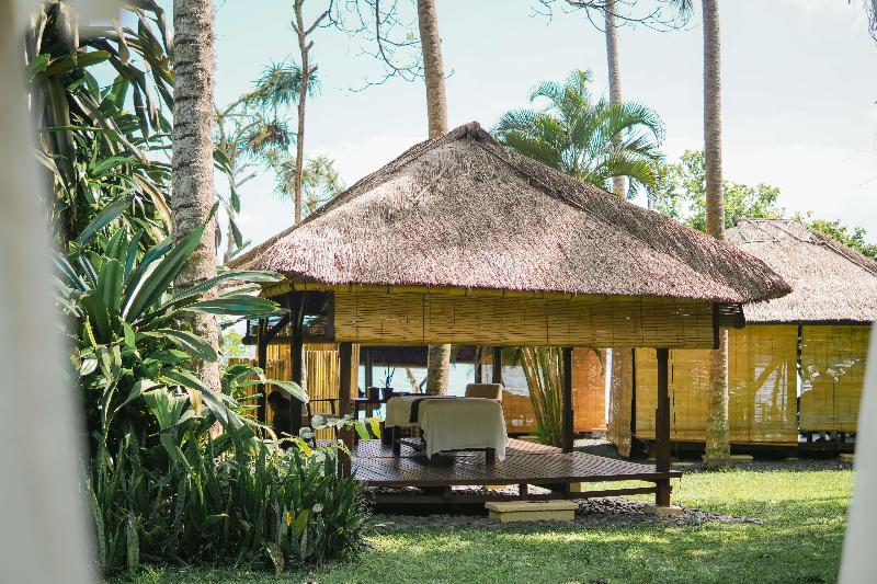 Alila Manggis - Aktivite