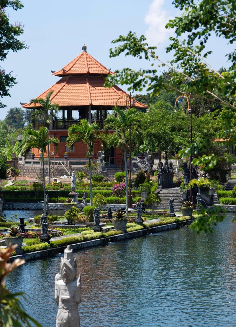 Alila Manggis - Aktivite
