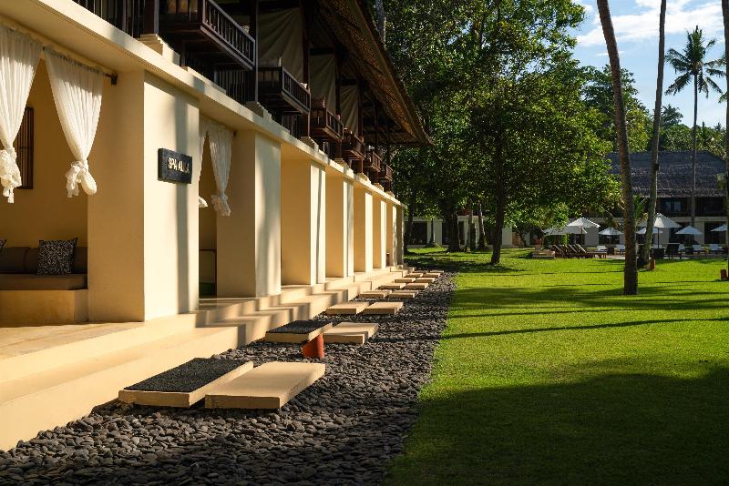 Alila Manggis - Aktivite