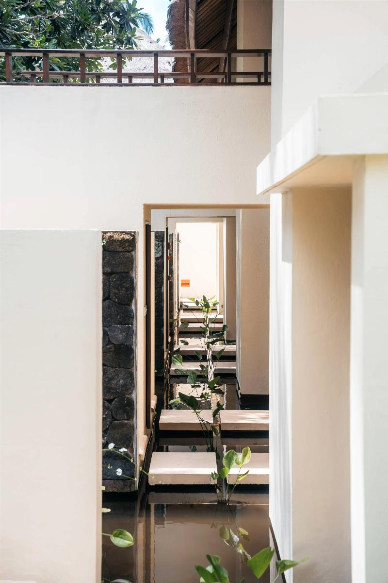 Alila Manggis - Aktivite