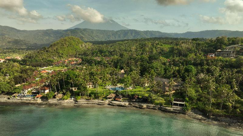 Alila Manggis - Genel