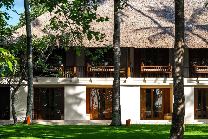 Alila Manggis - Genel