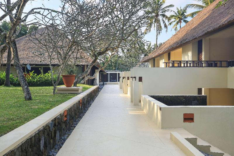 Alila Manggis - Genel