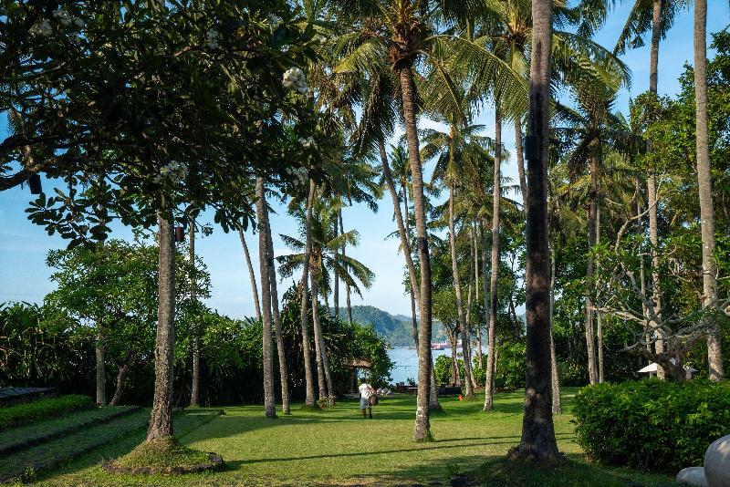 Alila Manggis - Genel