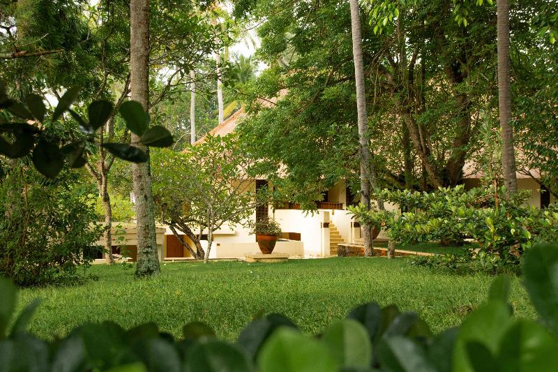 Alila Manggis - Genel