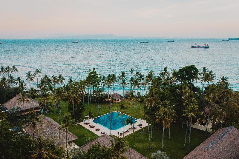 Alila Manggis - Genel