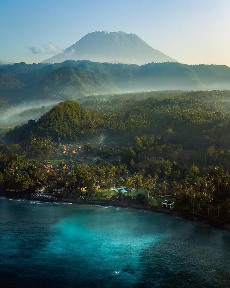 Alila Manggis - Genel