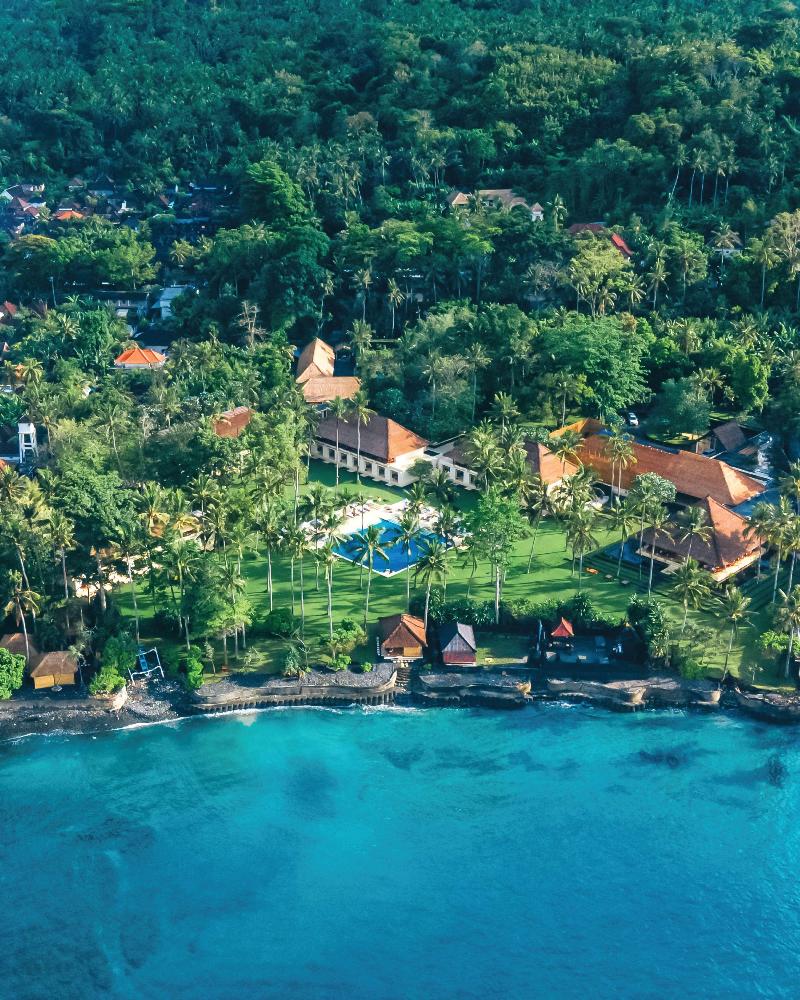 Alila Manggis - Genel