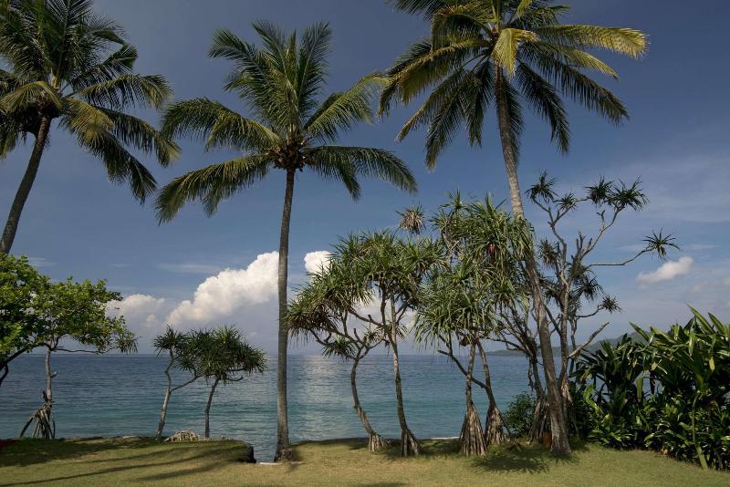 Alila Manggis - Genel