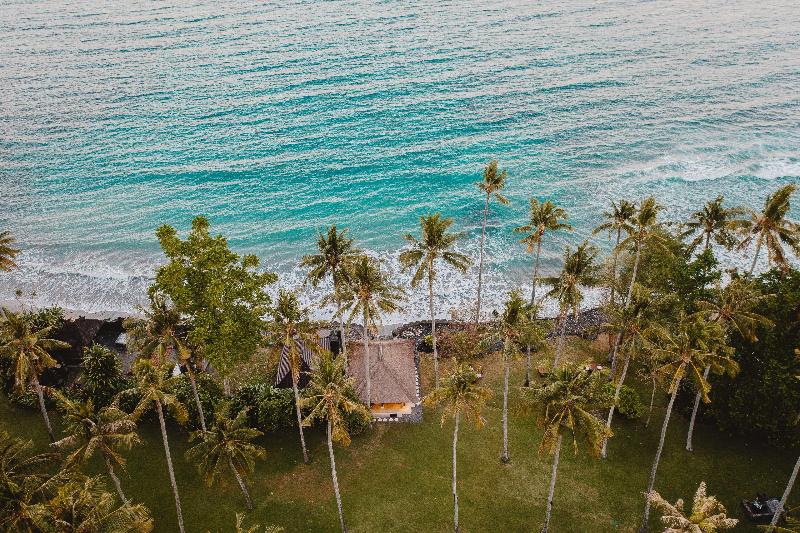 Alila Manggis - Genel