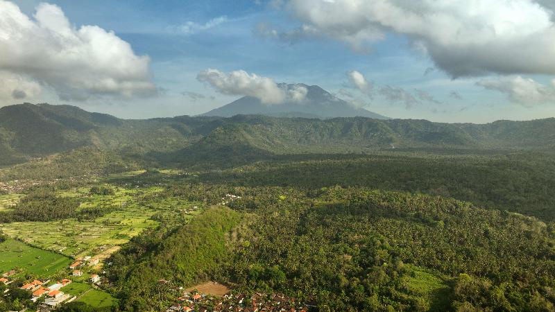 Alila Manggis - Genel