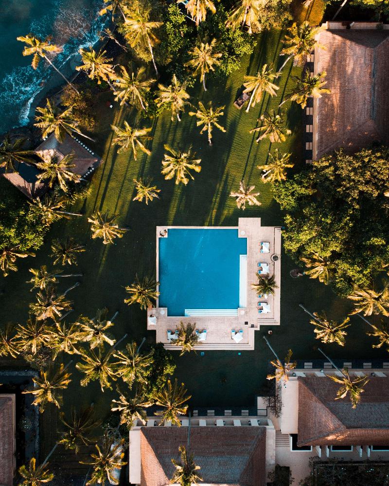 Alila Manggis - Genel