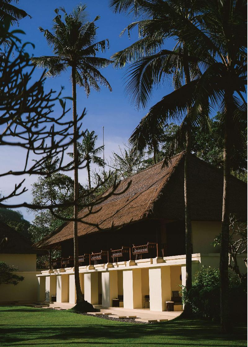 Alila Manggis - Genel