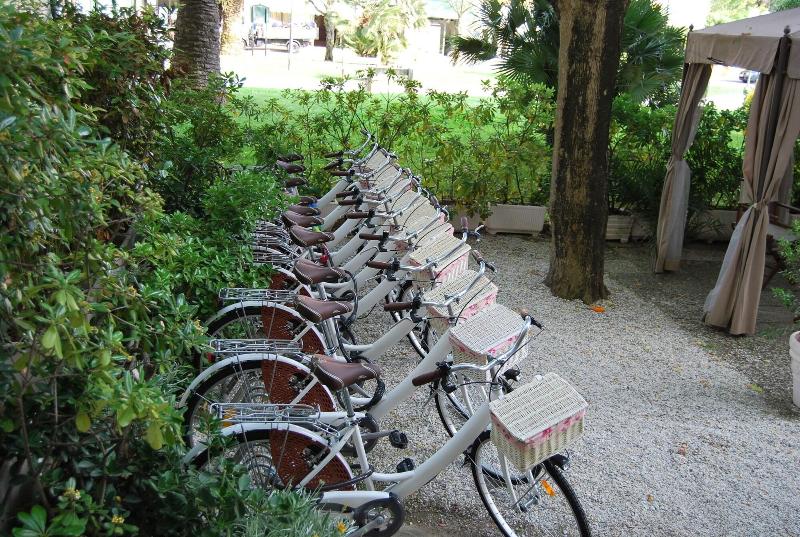 Hotel Coluccini - Genel