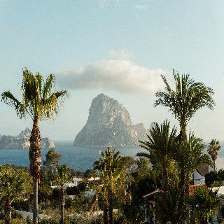 Petunia Ibiza - Adults Only
