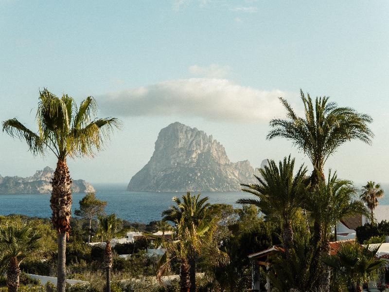 Petunia Ibiza - Adults Only - Genel