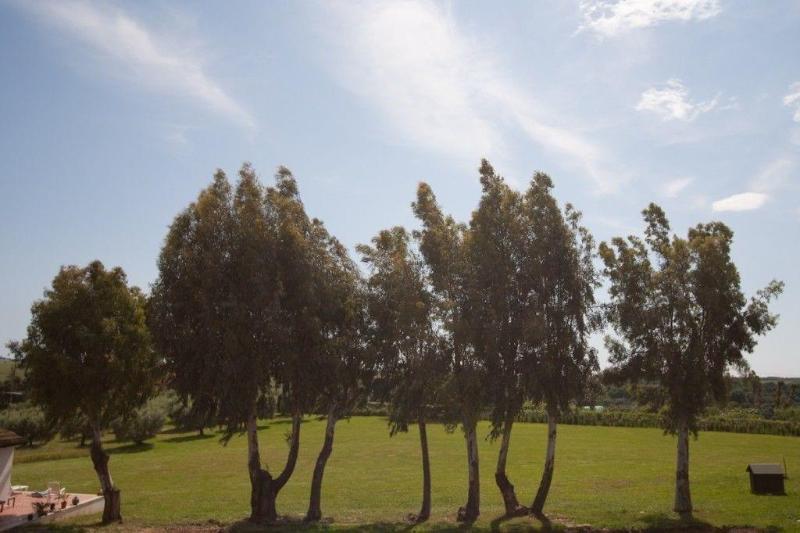Villa Strampelli - Genel