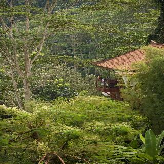 Kupu Kupu Barong Villas & Tree Spa fotoÄŸrafÄ±