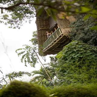 Kupu Kupu Barong Villas & Tree Spa fotoÄŸrafÄ±