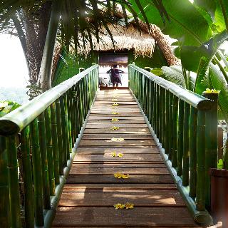 Kupu Kupu Barong Villas & Tree Spa fotoÄŸrafÄ±