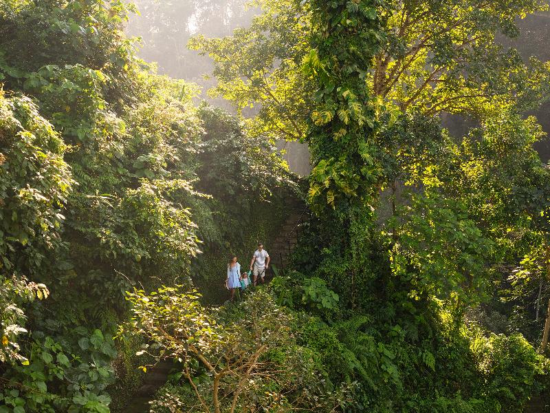 Maya Ubud Resort & Spa - Aktivite