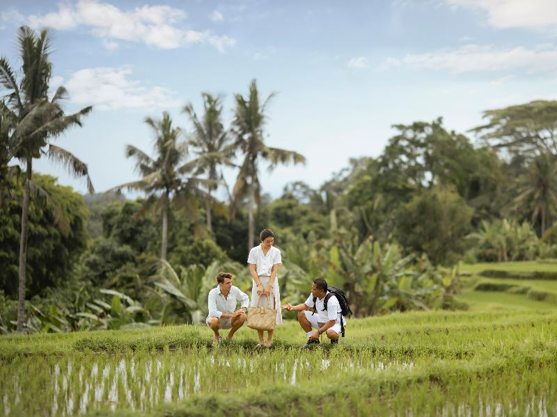 Maya Ubud Resort & Spa - Aktivite