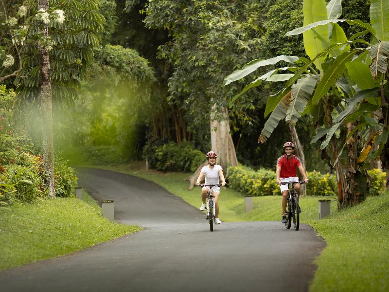 Maya Ubud Resort & Spa - Aktivite