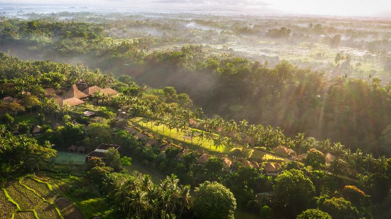 Maya Ubud Resort & Spa - Genel