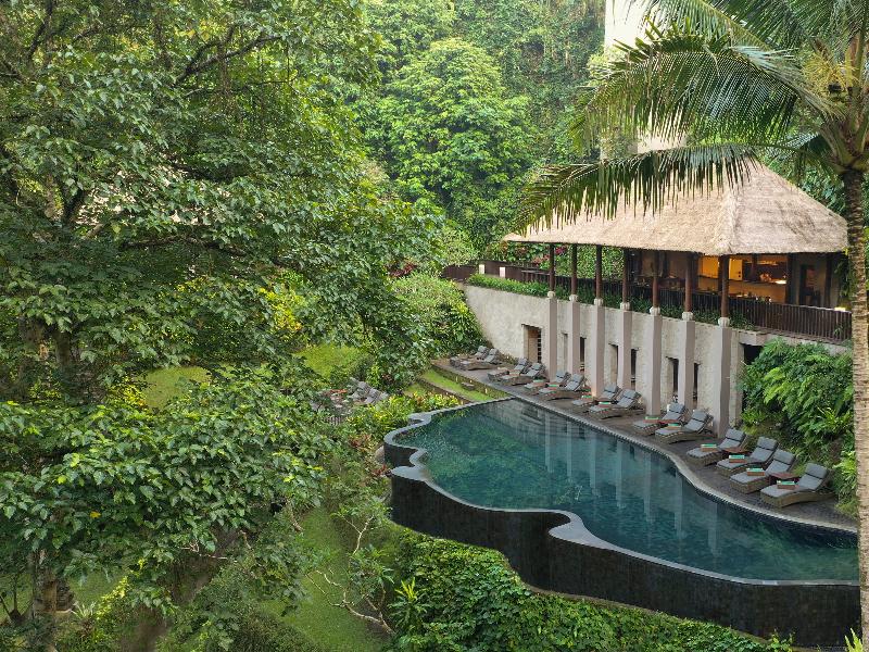 Maya Ubud Resort & Spa - Havuz