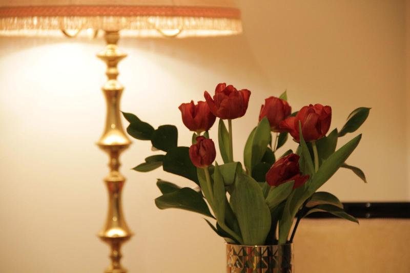 Ingrami Suites - Oda