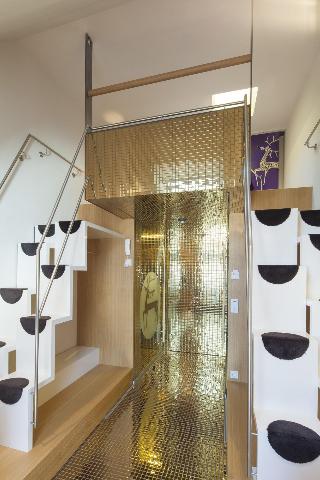 Nala Individuellhotel fotoÄŸrafÄ±
