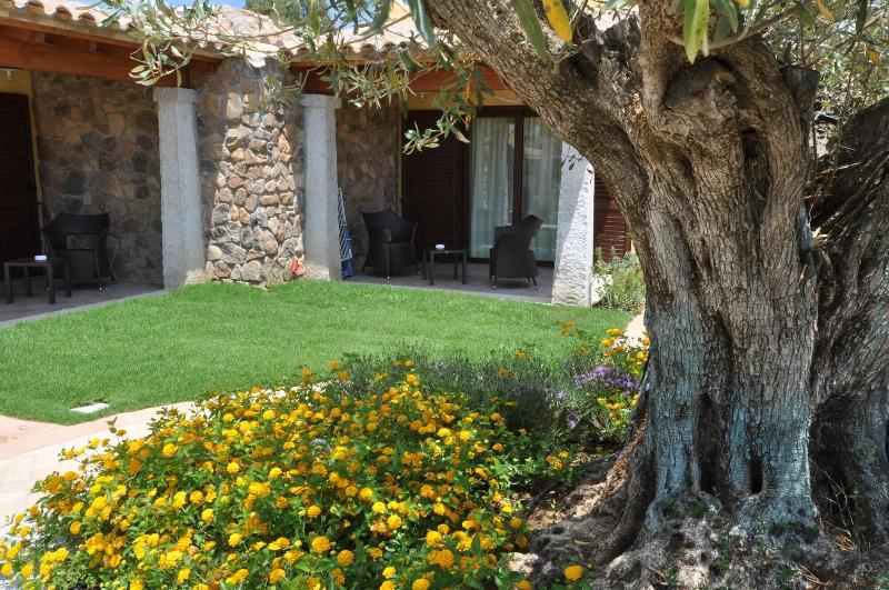 Hotel Le Anfore - Genel