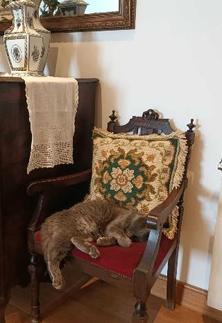 Casa de São Domingos fotoÄŸrafÄ±