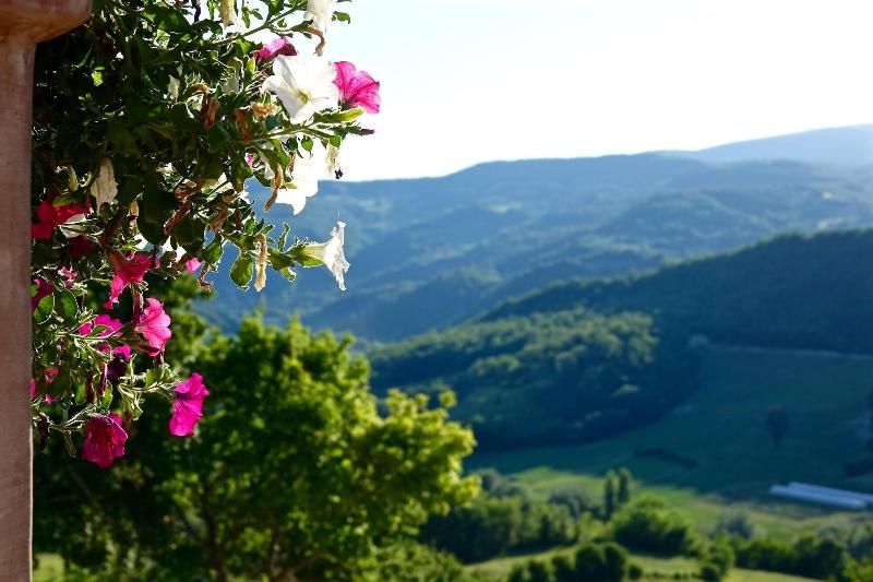 Gallano Resort - Genel
