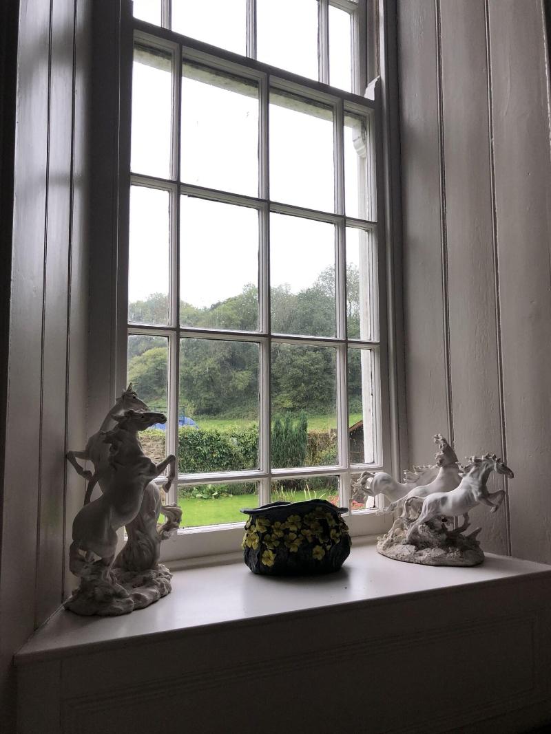 Picton House Hotel - Genel