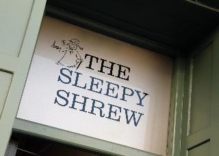 The Loopy Shrew fotoÄŸrafÄ±