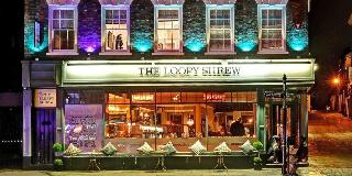 The Loopy Shrew fotoÄŸrafÄ±