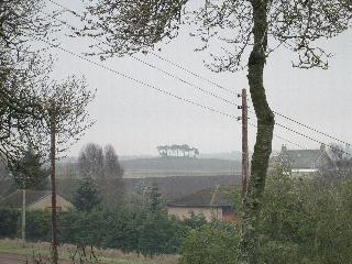 Broomlea fotoÄŸrafÄ±