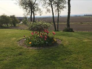 Broomlea fotoÄŸrafÄ±