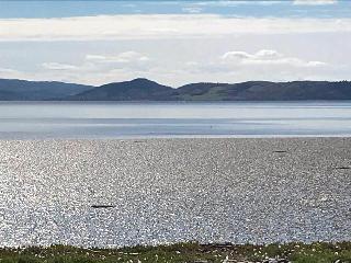 Broomlea fotoÄŸrafÄ±