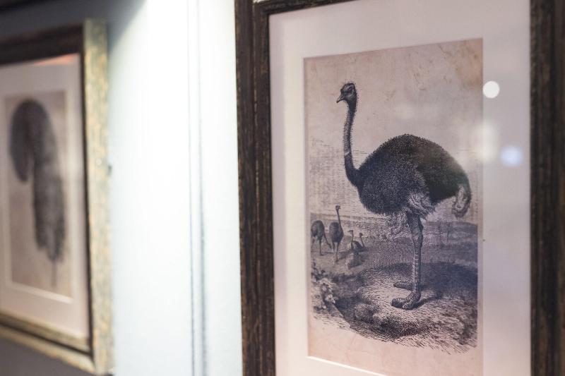 The Ostrich Inn - Lobi