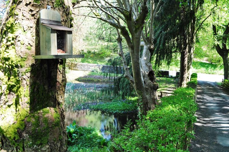 Craigmhor Lodge & Courtyard - Genel