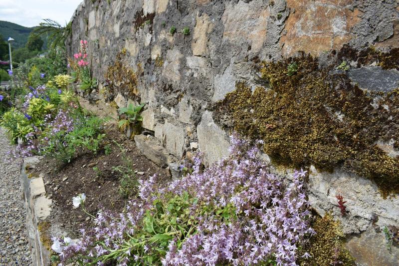 Craigmhor Lodge & Courtyard - Genel