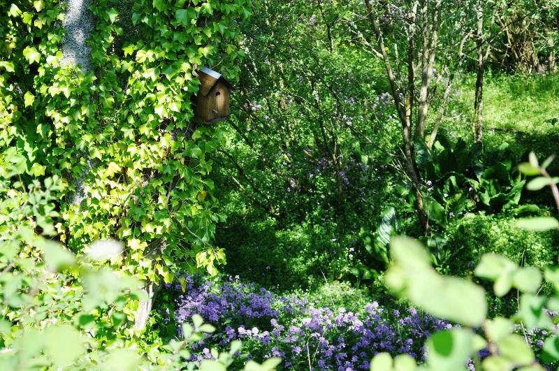 Craigmhor Lodge & Courtyard - Teras