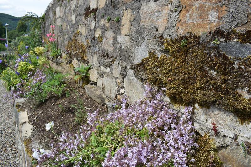 Craigmhor Lodge & Courtyard - Teras